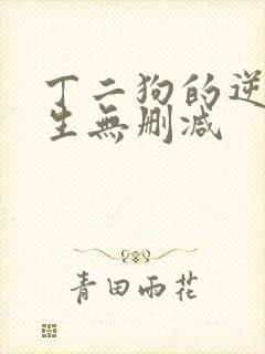 丁二狗的逆袭人生无删减