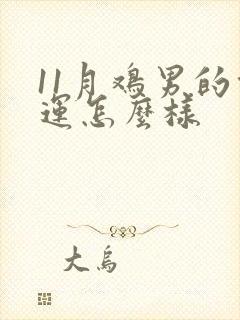 11月鸡男的命运怎么样