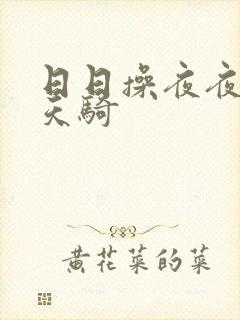 日日操夜夜操天天骑