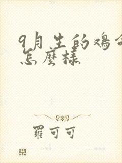 9月生的鸡命运怎么样封面