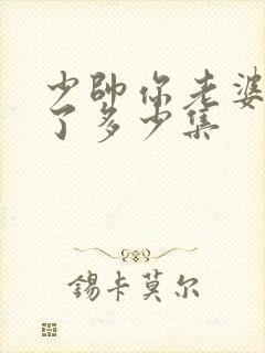 少帅你老婆又跑了多少集