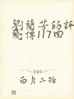 刘兰芳的评书岳飞传117回