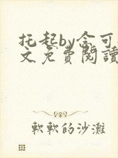 托起by念可全文免费阅读笔趣阁