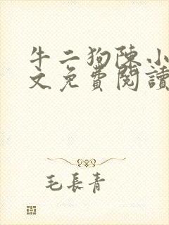 牛二狗陈小燕全文免费阅读封面