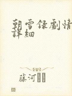 朝雪录剧情简介详细