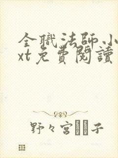 全职法师小说txt免费阅读