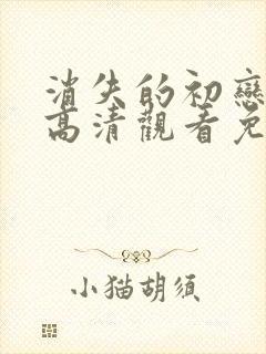 消失的初恋在线高清观看免费封面