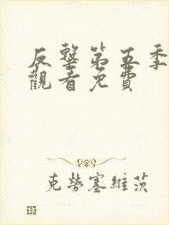 反击第五季在线观看免费封面