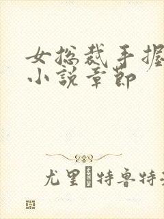 女总裁手握巨龙小说章节