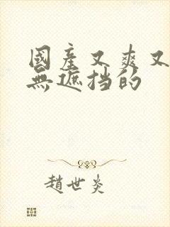 国产又爽又黄又无遮挡的