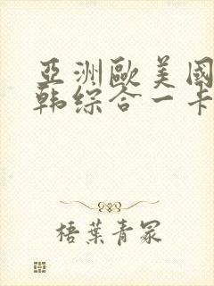 亚洲欧美国产日韩综合一卡