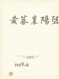 黄蓉襄阳堕落史