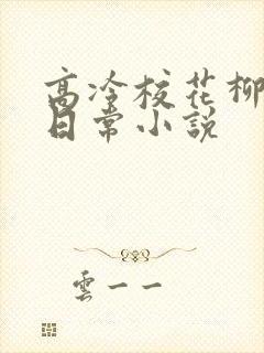 高冷校花柳冰的日常小说