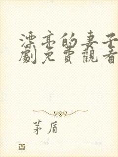 漂亮的妻子电视剧免费观看全集封面