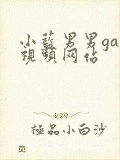 小蓝男男gay视频网站