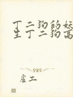 丁二狗的妖孽人生丁二狗高欣雅李丽娇