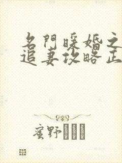 名门暖婚之权爷追妻攻略正版