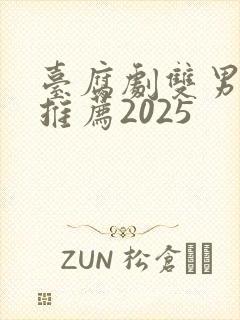 台腐剧双男主剧推荐2025