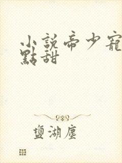 小说帝少宠妻有点甜