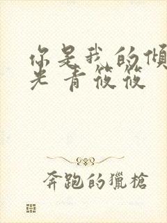 你是我的倾城时光 青筱筱