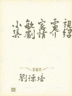 小敏家电视剧全集剧情介绍