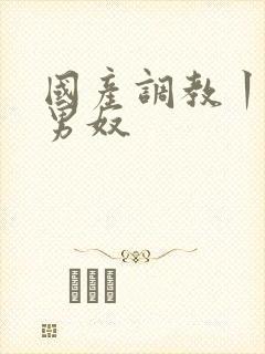 国产调教丨vk男奴