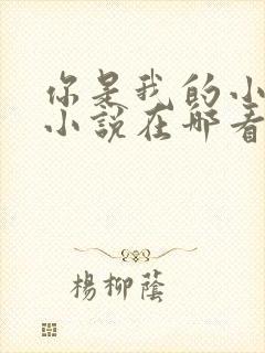 你是我的小确幸小说在哪看封面