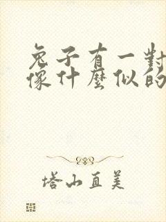 兔子有一对耳朵像什么似的