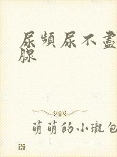 尿频尿不尽前列腺