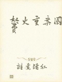 怒火重案国语免费