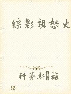 综影视怒火重案