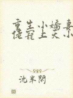 重生小娇妻:大佬宠上天小说