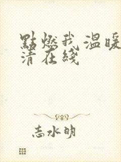 点燃我温暖你高清在线封面