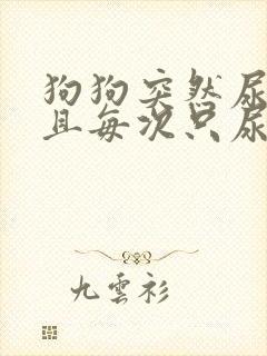 狗狗突然尿频而且每次只尿一点