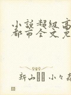小说超级高手在都市全文免费阅读封面