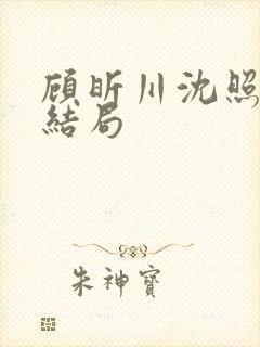 顾昕川沈照微大结局