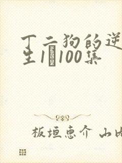 丁二狗的逆袭人生1–100集封面