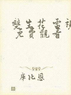 双生花 电视剧 免费观看