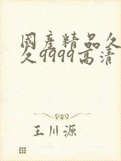 国产精品久久久久9999高清