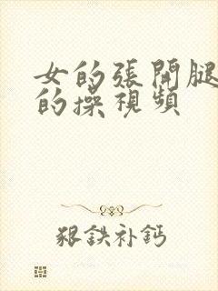 女的张开腿让男的操视频