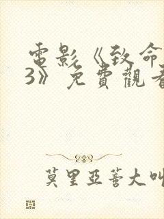 电影《致命黑兰3》免费观看