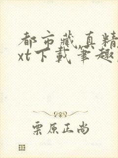 都市藏真精校txt下载笔趣阁