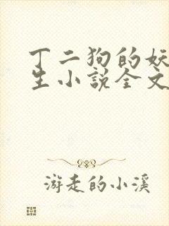 丁二狗的妖孽人生小说全文阅读