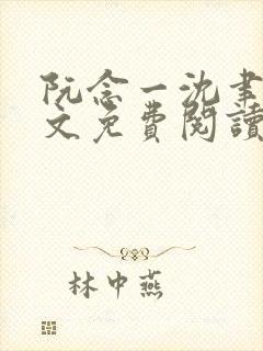 阮念一沈聿怀全文免费阅读