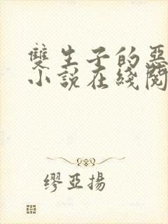 双生子的恶作剧小说在线阅读无弹窗下载