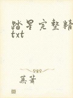 踏星完整精校版txt