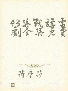 43集战旗电视剧全集免费云在线观看