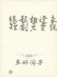 缘起相逢未识时短剧免费观看全集