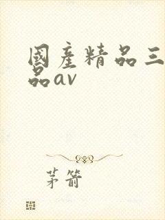 国产精品三级精品av