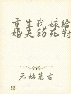 重生我嫁给了未婚夫的死对头封面